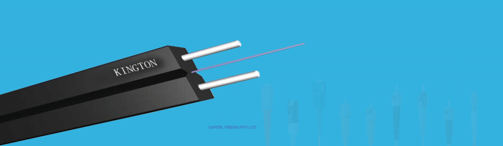 capital_banner2